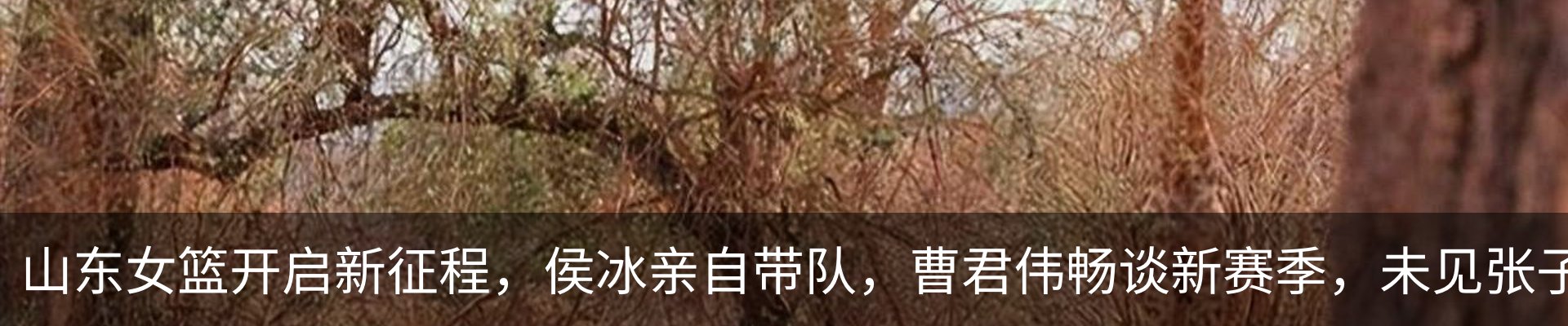 资讯中心